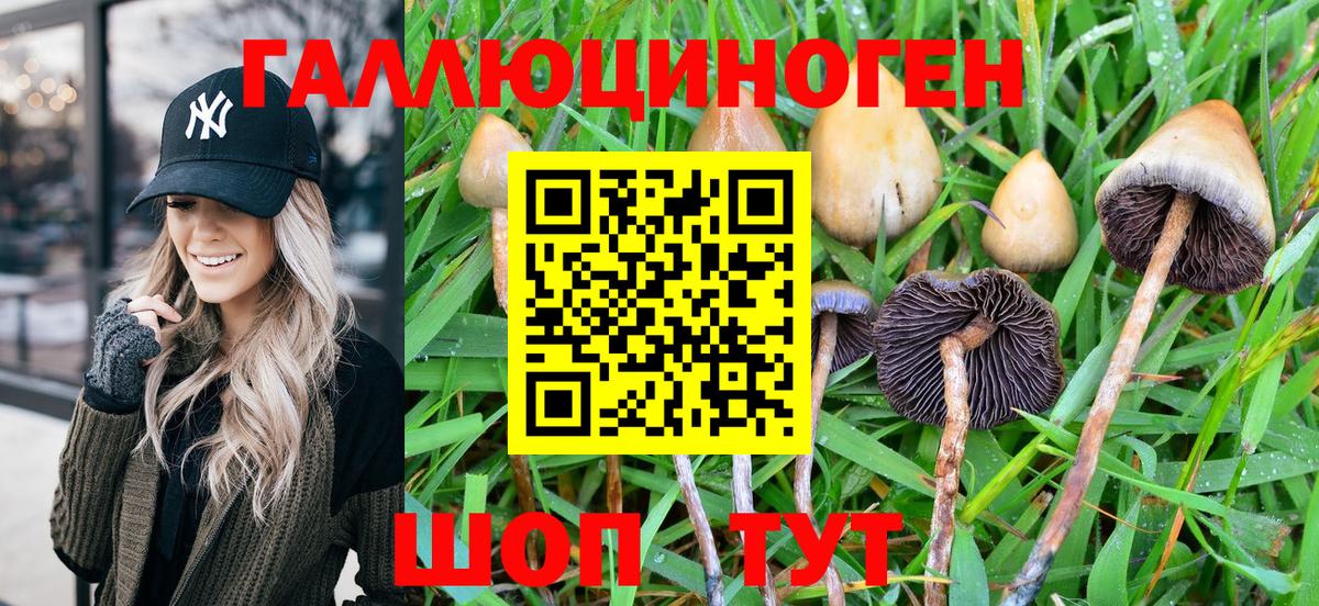 Волгоград  Галлюциногенные грибы Magic Shrooms  Вход с VPN 